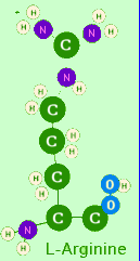 arginine_molecule