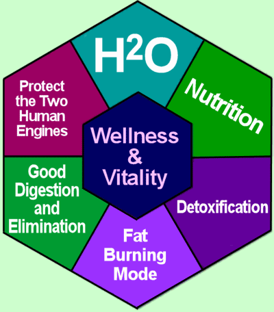 Six Foundations of Health