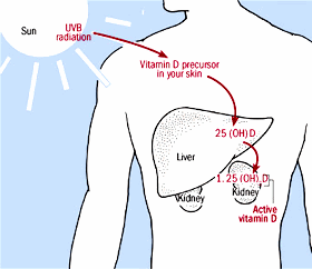 sun-vit-db